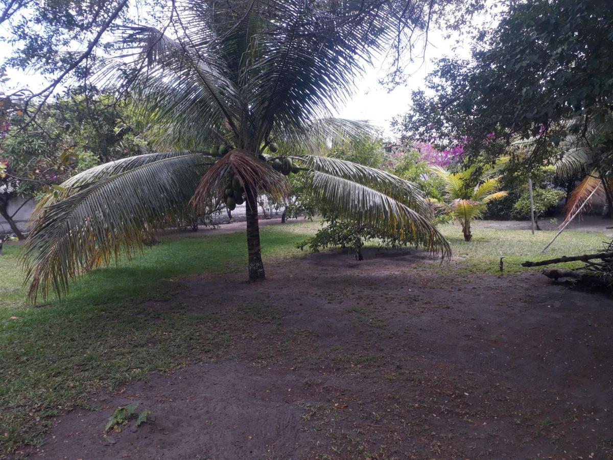Refugio Das Bouganvillea Igarassu Bagian luar foto