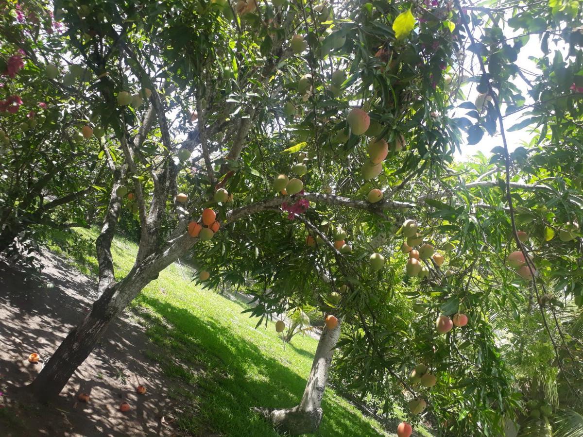 Refugio Das Bouganvillea Igarassu Bagian luar foto